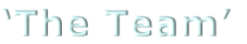 ‘The Team’